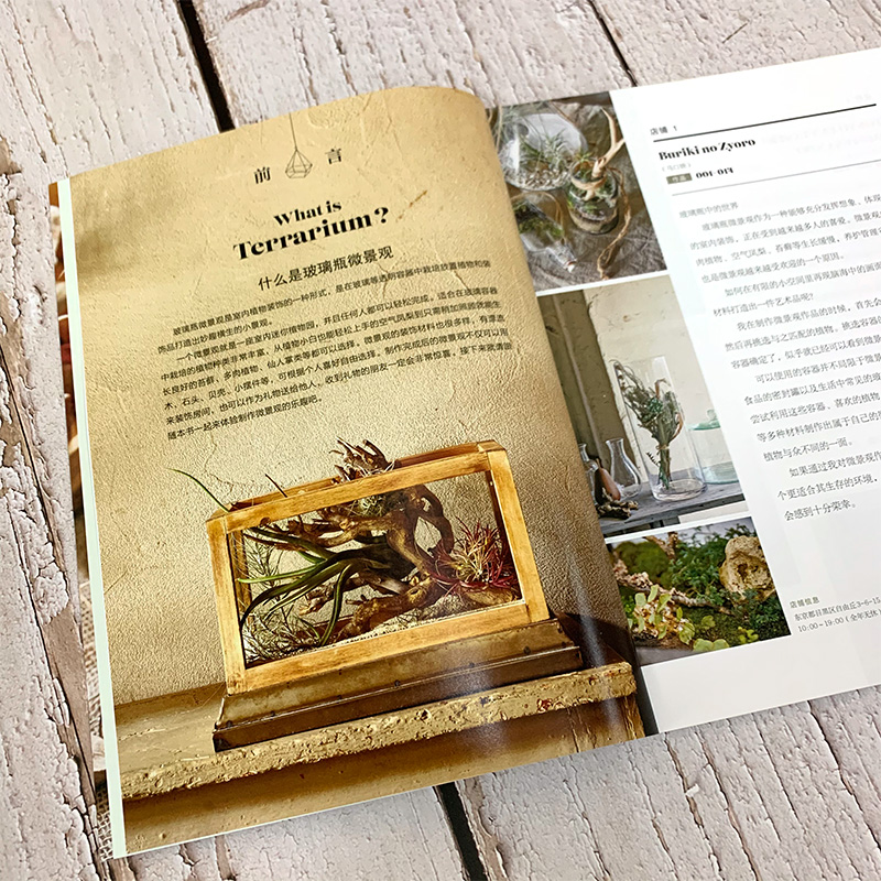 迷你植物園+玻璃瓶裡的小森林（全兩冊）