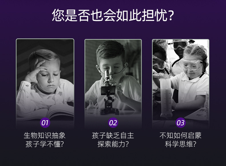 详情-02.jpg