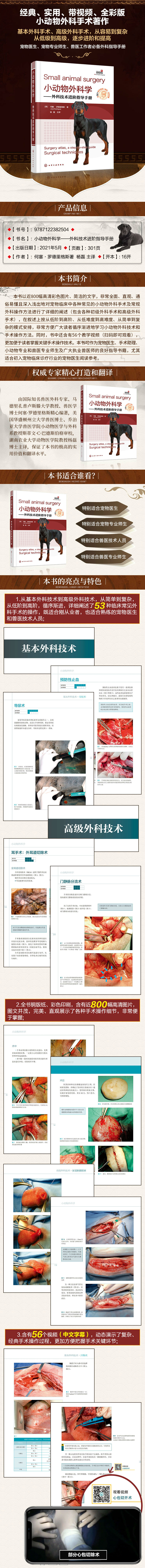 详情-01.jpg