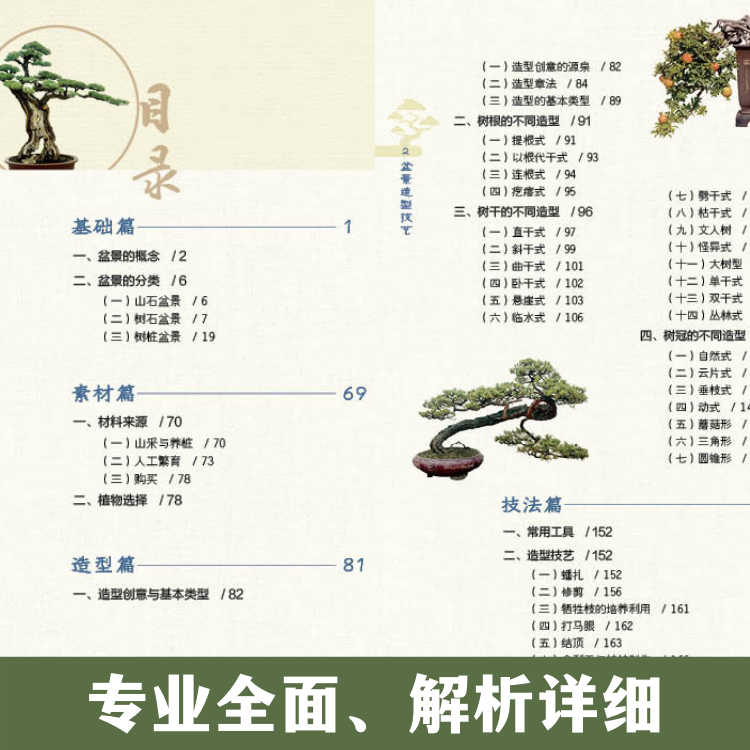 盆景4.jpg