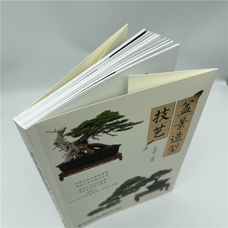盆景详情6.jpg