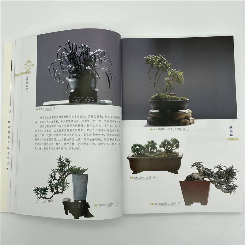 盆景详情8.jpg