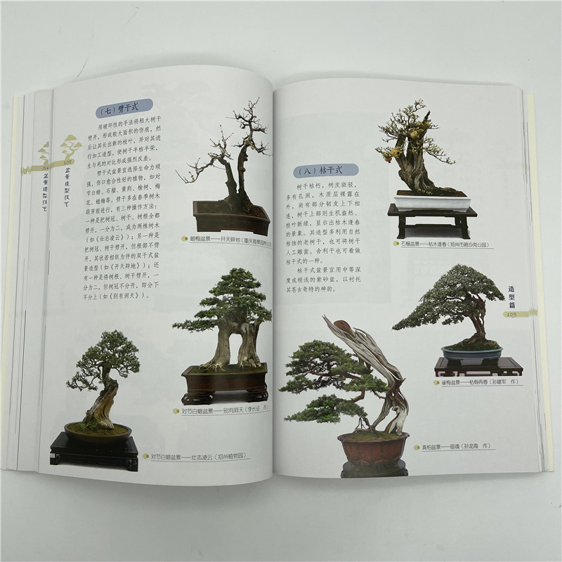 盆景详情9.jpg