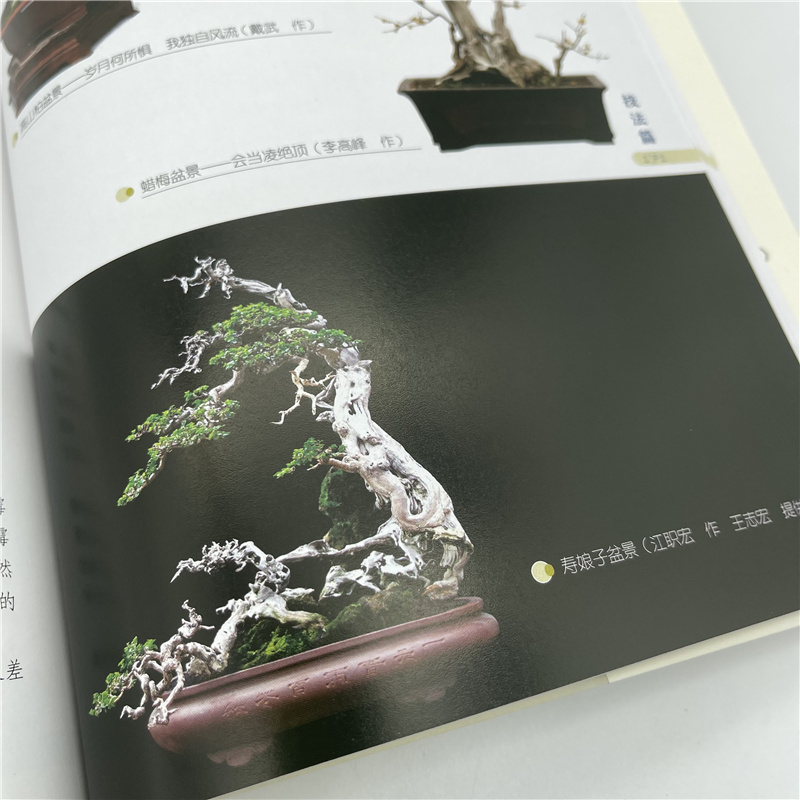 盆景详情11.jpg