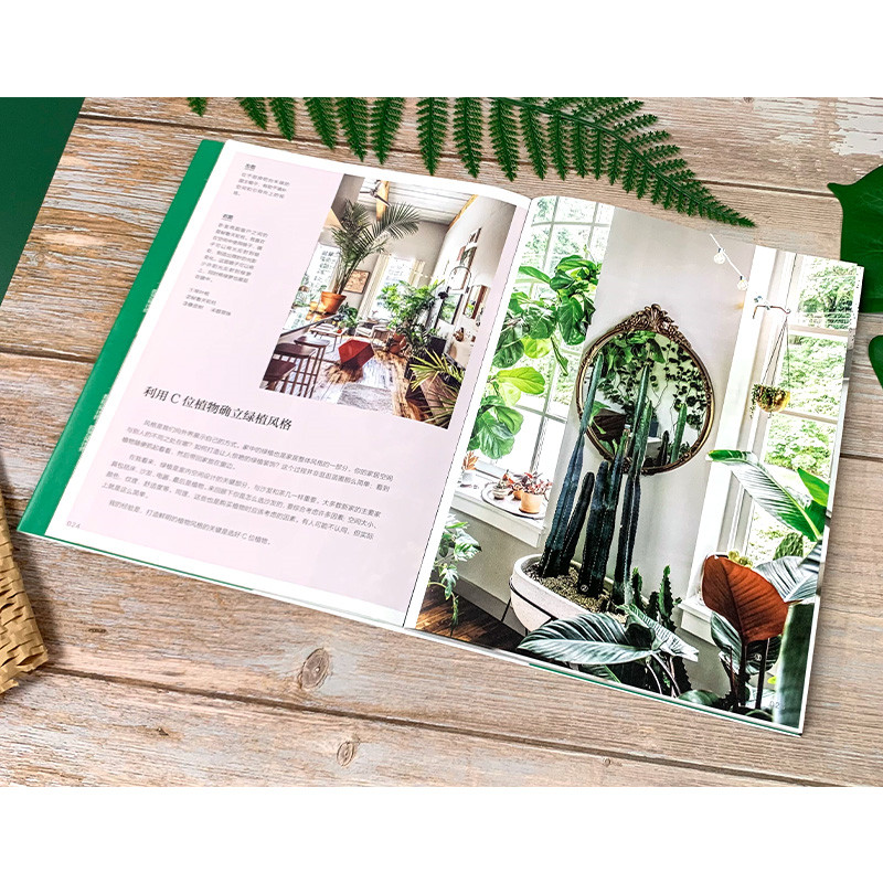 限時優惠:原價2288;植物風格1+2+3:綠植軟裝設計與養護+綠植達人的森林家居營造秘訣+植物裝飾手作指南 限時優惠:原價2288;植物風格1+2+3:綠植軟裝設計與養護+綠植達人的森林家居營造秘訣+植物裝飾手作指南