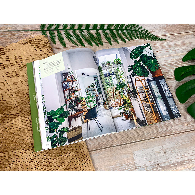 限時優惠:原價2288;植物風格1+2+3:綠植軟裝設計與養護+綠植達人的森林家居營造秘訣+植物裝飾手作指南 限時優惠:原價2288;植物風格1+2+3:綠植軟裝設計與養護+綠植達人的森林家居營造秘訣+植物裝飾手作指南