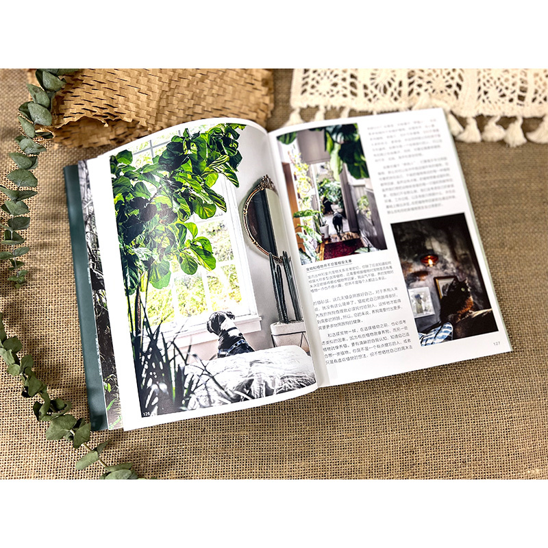 限時優惠:原價2288;植物風格1+2+3:綠植軟裝設計與養護+綠植達人的森林家居營造秘訣+植物裝飾手作指南 限時優惠:原價2288;植物風格1+2+3:綠植軟裝設計與養護+綠植達人的森林家居營造秘訣+植物裝飾手作指南