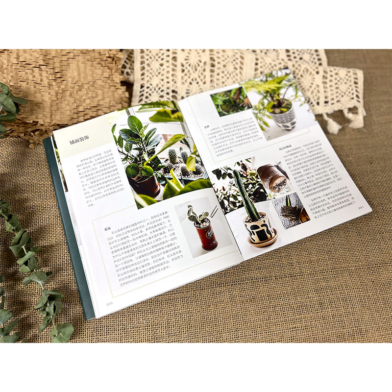 限時優惠:原價2288;植物風格1+2+3:綠植軟裝設計與養護+綠植達人的森林家居營造秘訣+植物裝飾手作指南 限時優惠:原價2288;植物風格1+2+3:綠植軟裝設計與養護+綠植達人的森林家居營造秘訣+植物裝飾手作指南