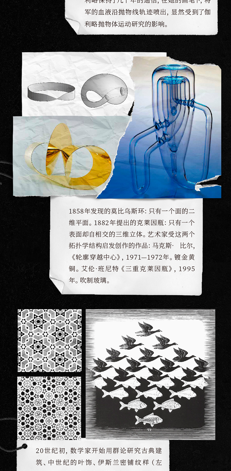 详情7.jpg
