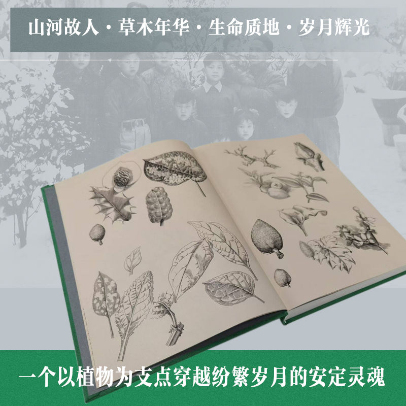 详情14.jpeg