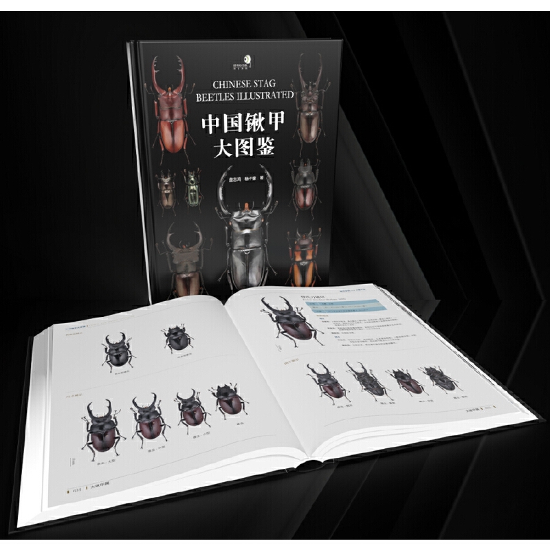 2025年新書推薦：【中國鍬甲大圖鑒】