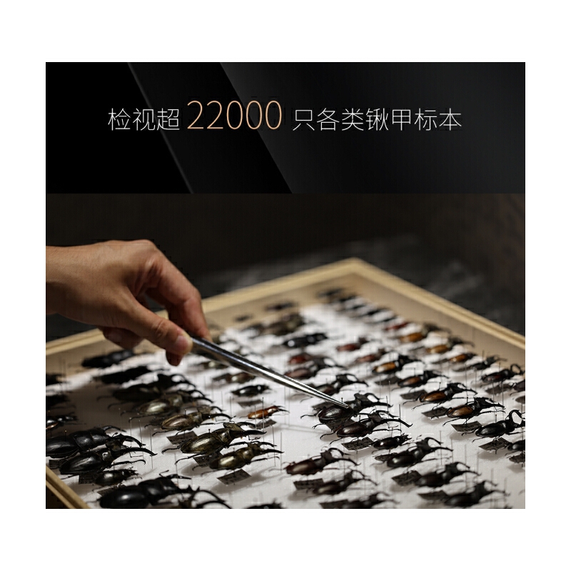 2025年新書推薦：【中國鍬甲大圖鑒】