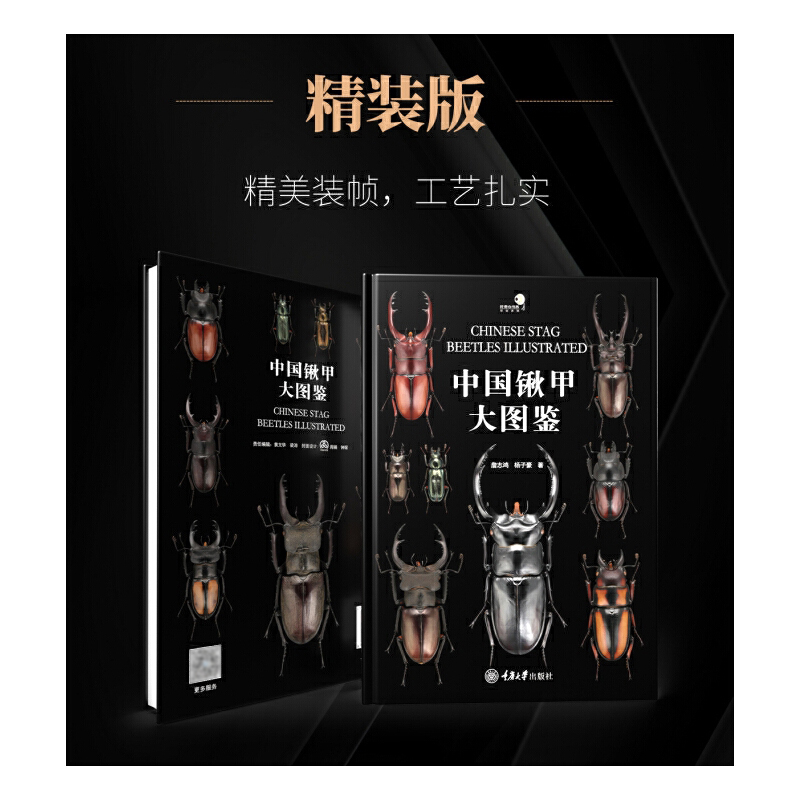 2025年新書推薦：【中國鍬甲大圖鑒】