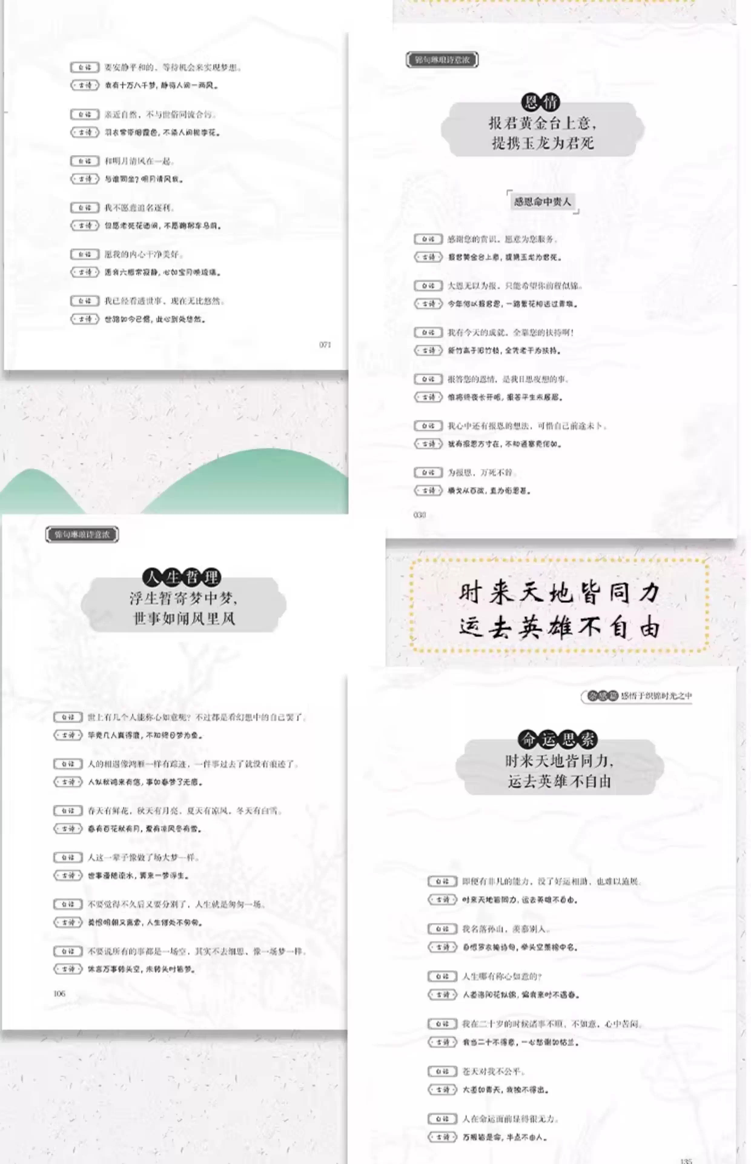 详情10.jpg