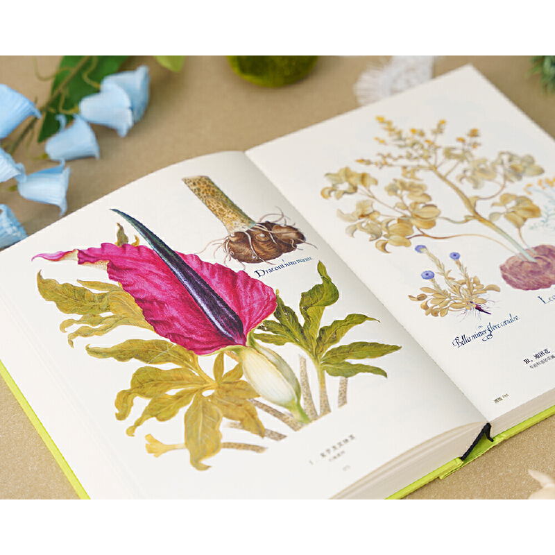2025新書推薦：【植物聖經】（法國國家自然歷史博物館典藏全彩復刻，跨越400年的科學與藝術瑰寶，一部改寫人類植物認知的里程碑式巨作）