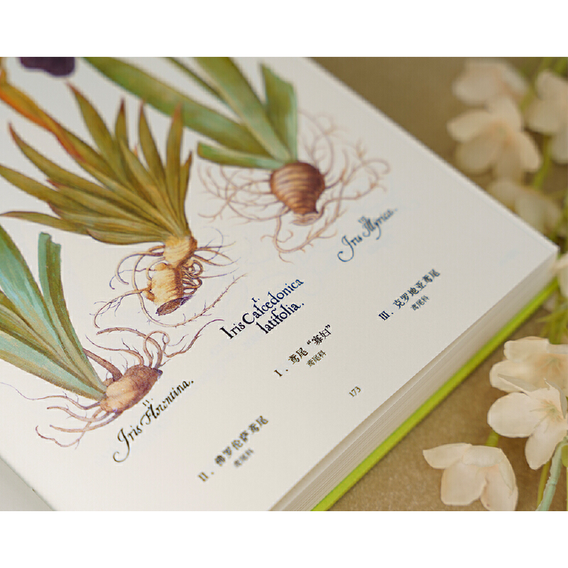 2025新書推薦：【植物聖經】（法國國家自然歷史博物館典藏全彩復刻，跨越400年的科學與藝術瑰寶，一部改寫人類植物認知的里程碑式巨作）