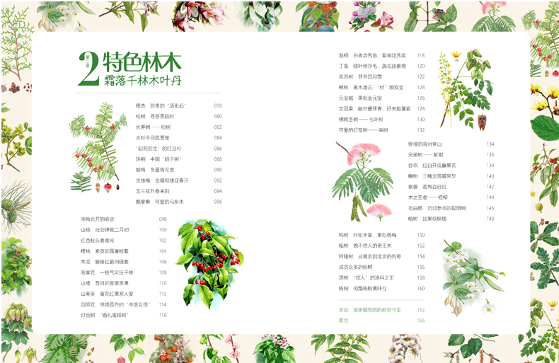 目录2.jpg