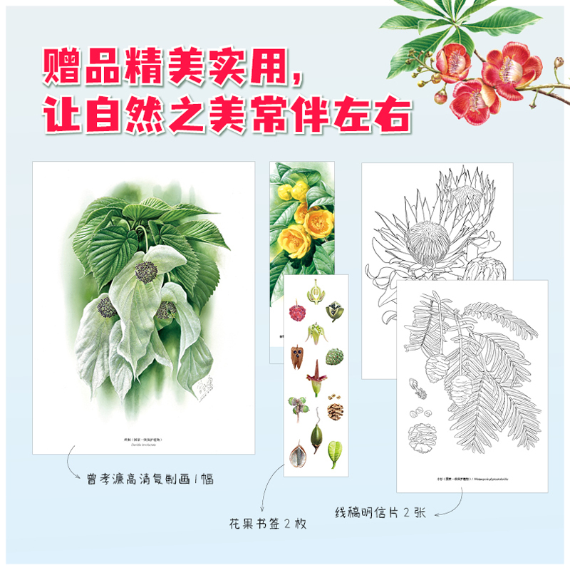 2025新書推薦：【曾孝濂爺爺畫給孩子的植物課】精裝2冊