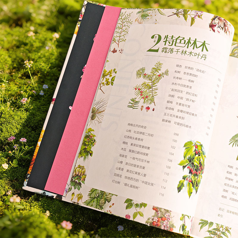 2025新書推薦：【曾孝濂爺爺畫給孩子的植物課】精裝2冊